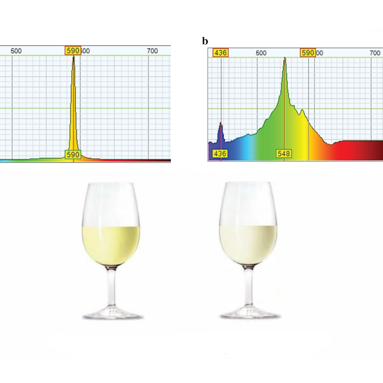 bor-megovasa-szuk-spektrumu-fennyel Bor megvilágítása szűk spektrumú képpel